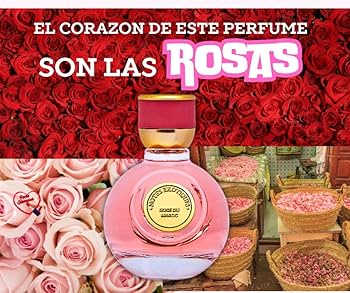 ROSE DE MARRAKECH ネロリバーム　35g×2　10g×1 HYPERCOURT EXPRESS 2 – K-Swiss US